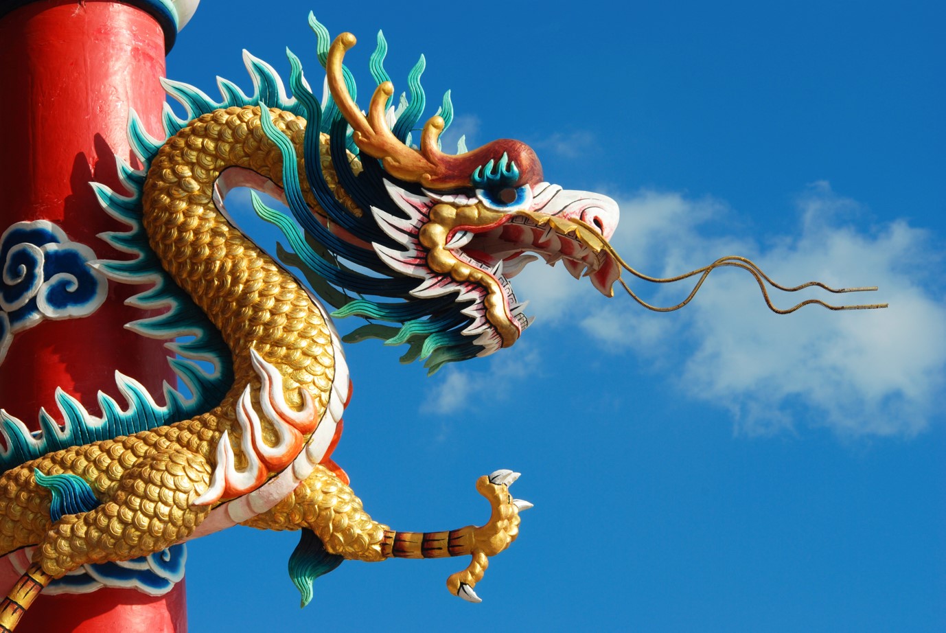 FSSA-asia-all-cap-dragon.jpg