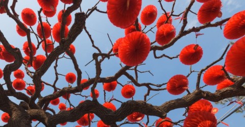 fssa-apac-tree-lanterns.jpeg